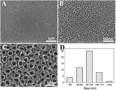 Fabrication and surface characterization of titanium dioxide nanotubes on titanium implants